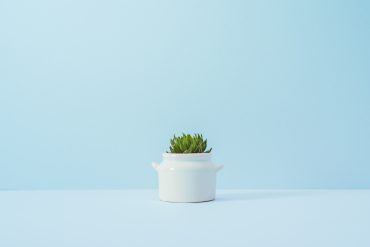 A cup of tea